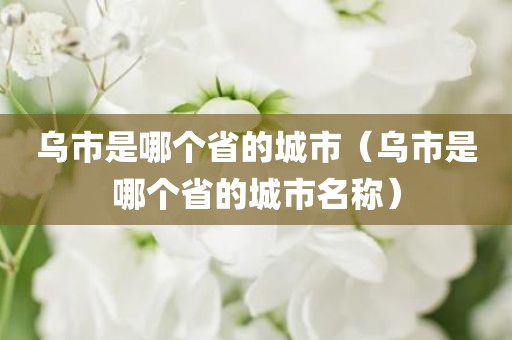 乌市是哪个省的城市（乌市是哪个省的城市名称）