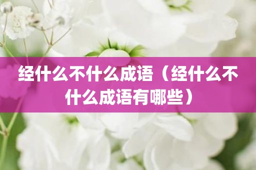 经什么不什么成语(经什么不什么成语有哪些)