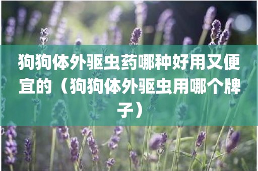 狗狗体外驱虫药哪种好用又便宜的（狗狗体外驱虫用哪个牌子）