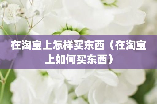 在淘宝上怎样买东西（在淘宝上如何买东西）