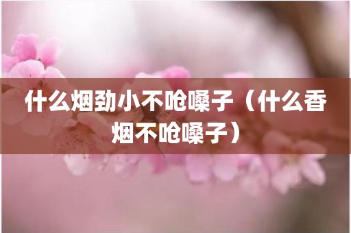 什么烟劲小不呛嗓子（什么香烟不呛嗓子）