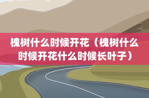 槐树什么时候开花（槐树什么时候开花什么时候长叶子）