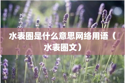 水表圈是什么意思网络用语（水表圈文）