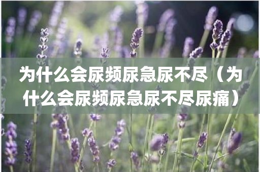 为什么会尿频尿急尿不尽（为什么会尿频尿急尿不尽尿痛）