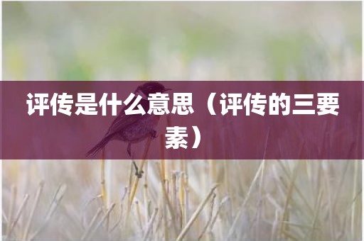 评传是什么意思(评传的三要素)