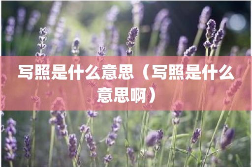 写照是什么意思（写照是什么意思啊）