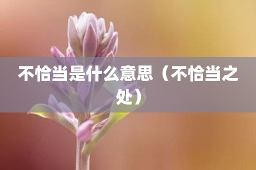不恰当是什么意思（不恰当之处）