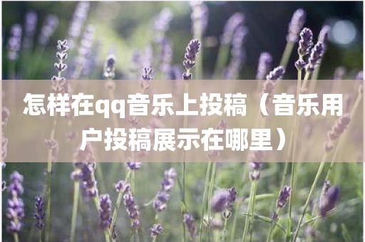 怎样在qq音乐上投稿（音乐用户投稿展示在哪里）
