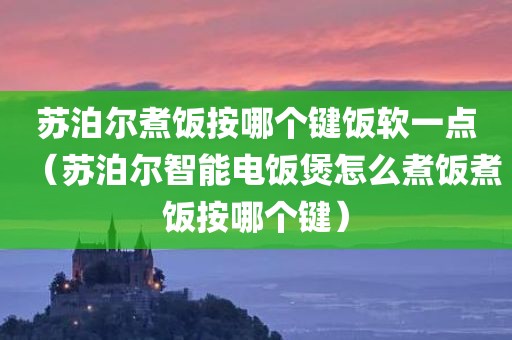 苏泊尔煮饭按哪个键饭软一点（苏泊尔智能电饭煲怎么煮饭煮饭按哪个键）