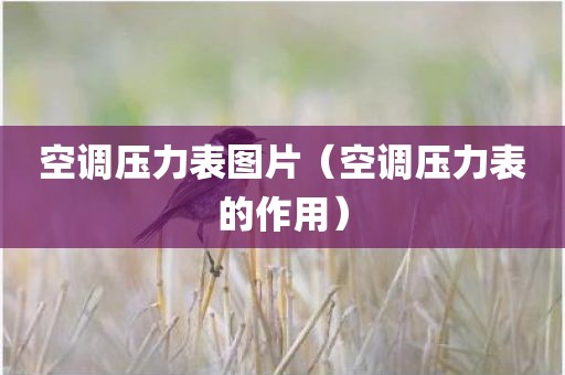 空调压力表图片（空调压力表的作用）