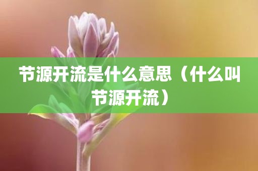 节源开流是什么意思（什么叫节源开流）