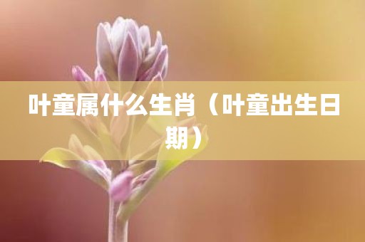 叶童属什么生肖（叶童出生日期）