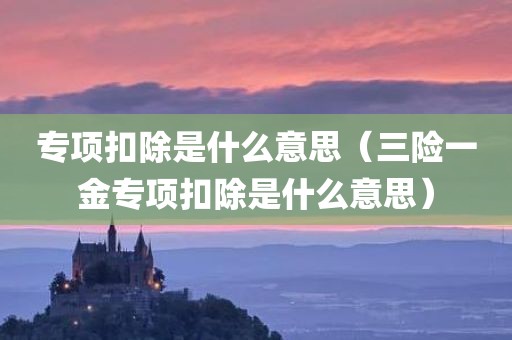 专项扣除是什么意思（三险一金专项扣除是什么意思）