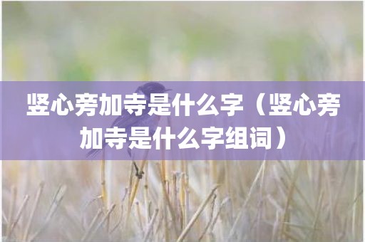 竖心旁加寺是什么字（竖心旁加寺是什么字组词）