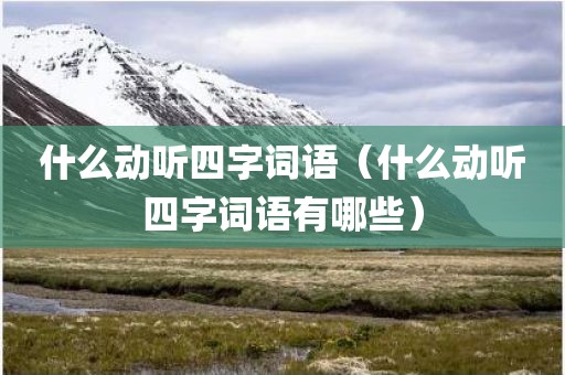 什么动听四字词语（什么动听四字词语有哪些）