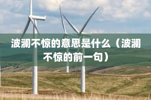 波澜不惊的意思是什么（波澜不惊的前一句）