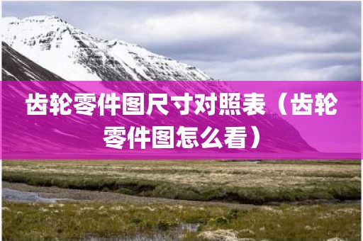 齿轮零件图尺寸对照表（齿轮零件图怎么看）