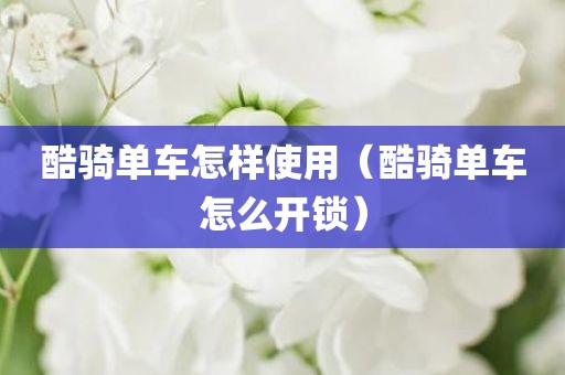 酷骑单车怎样使用（酷骑单车怎么开锁）