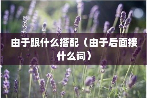 由于跟什么搭配(由于后面接什么词)