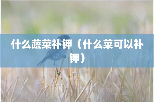 什么蔬菜补钾（什么菜可以补钾）
