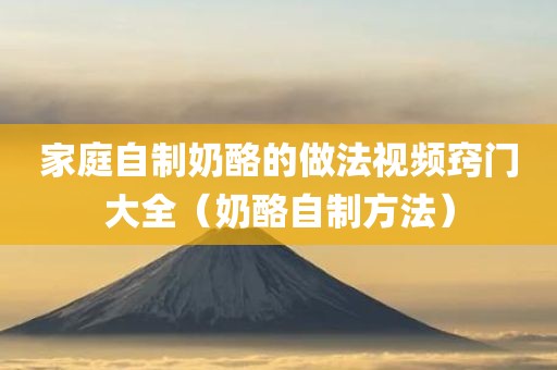家庭自制奶酪的做法视频窍门大全（奶酪自制方法）