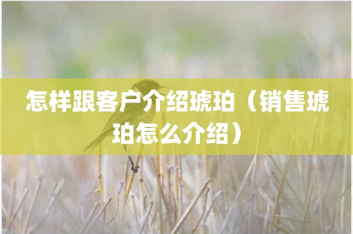 怎样跟客户介绍琥珀（销售琥珀怎么介绍）