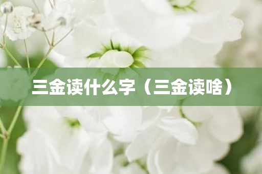 三金读什么字（三金读啥）