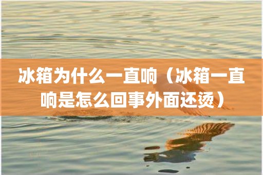 冰箱为什么一直响（冰箱一直响是怎么回事外面还烫）