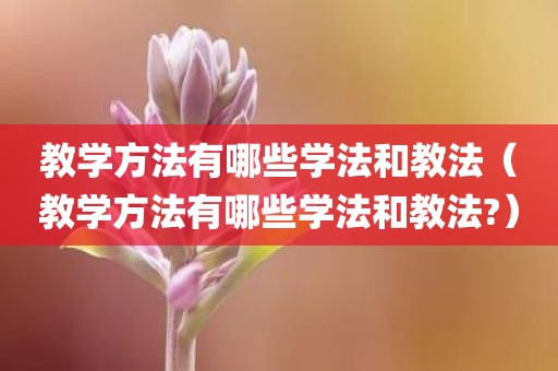 教学方法有哪些学法和教法（教学方法有哪些学法和教法?）