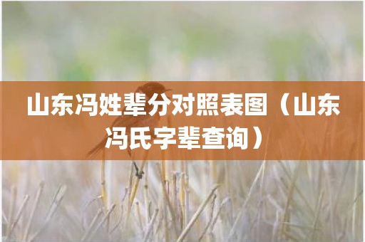 山东冯姓辈分对照表图（山东冯氏字辈查询）
