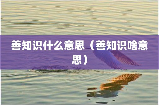 善知识什么意思（善知识啥意思）