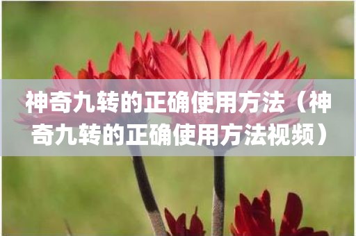 神奇九转的正确使用方法（神奇九转的正确使用方法视频）