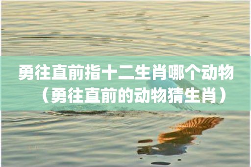 勇往直前指十二生肖哪个动物（勇往直前的动物猜生肖）