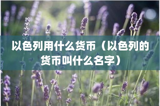 以色列用什么货币（以色列的货币叫什么名字）