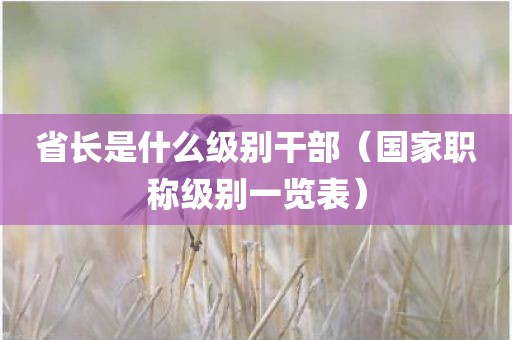 省长是什么级别干部（国家职称级别一览表）