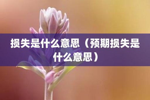 损失是什么意思(预期损失是什么意思)