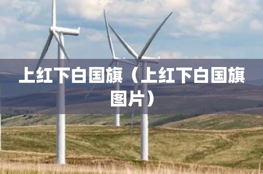 上红下白国旗（上红下白国旗图片）