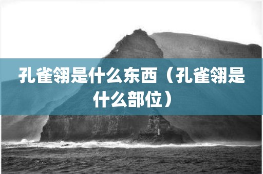孔雀翎是什么东西（孔雀翎是什么部位）