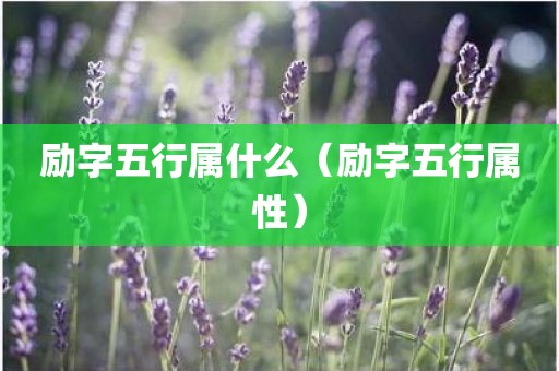 励字五行属什么（励字五行属性）