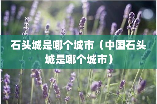 石头城是哪个城市（中国石头城是哪个城市）