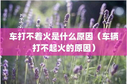车打不着火是什么原因（车辆打不起火的原因）