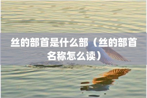 丝的部首是什么部（丝的部首名称怎么读）