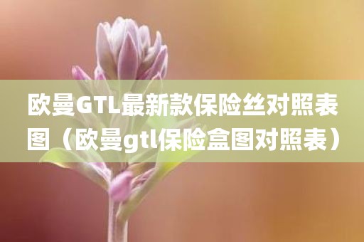 欧曼GTL最新款保险丝对照表图（欧曼gtl保险盒图对照表）