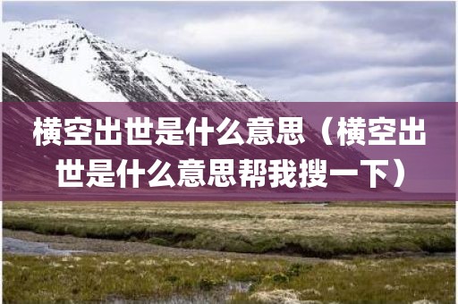 横空出世是什么意思（横空出世是什么意思帮我搜一下）