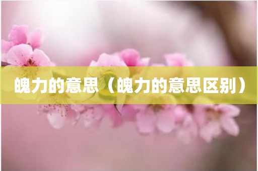 魄力的意思（魄力的意思区别）