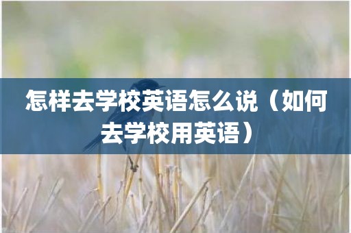怎样去学校英语怎么说(如何去学校用英语) 怎样去学校英语怎么说(如何去学校用英语)