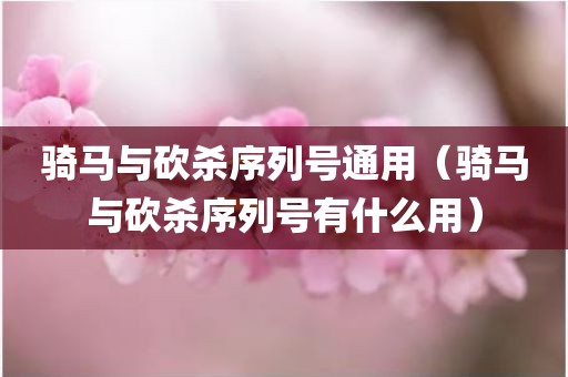 骑马与砍杀序列号通用（骑马与砍杀序列号有什么用）