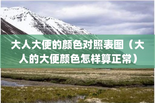大人大便的颜色对照表图（大人的大便颜色怎样算正常）