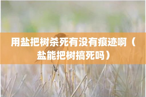用盐把树杀死有没有痕迹啊（盐能把树搞死吗）