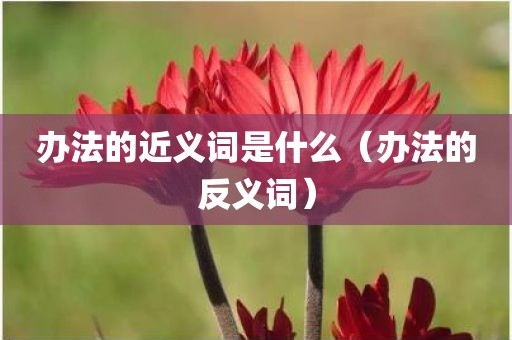 办法的近义词是什么（办法的反义词）